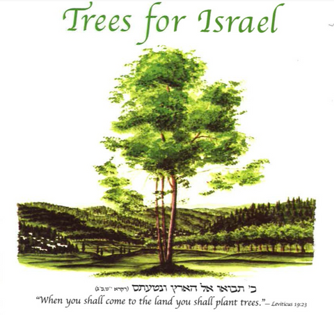 Plant a Tree in Israel
